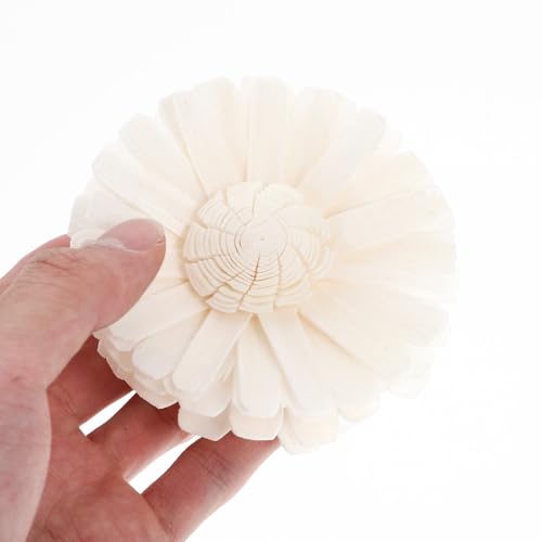 Difusor de Flores Secas 4 piezas para Decoración miniatura 4
