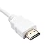 Voyoo 1080P HDMI to VGA Adapter for Computer Laptop Monitor HDTV (White)