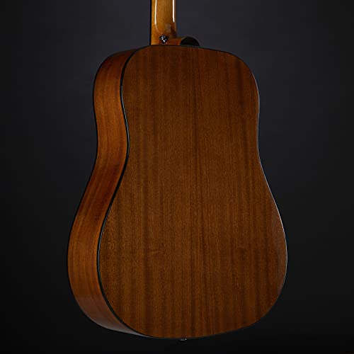 Image of Epiphone DR-100 6 Strings Right Handed Rose Wood Acoustic Guitar Natural