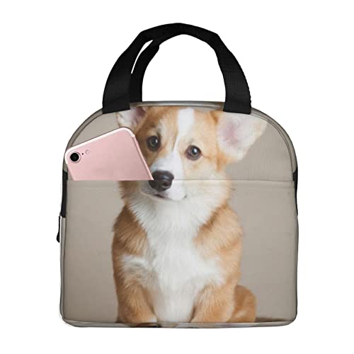 XVBCDFG Bolsa de almuerzo para perros Oficina al aire libre Papel de aluminio portátil Aislamiento grueso y bolsa Bento de mantenimiento fresco