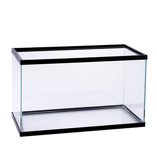 Best 10 Gallon Fish Tanks A Complete Ranking Guide Betta Care Fish Guide