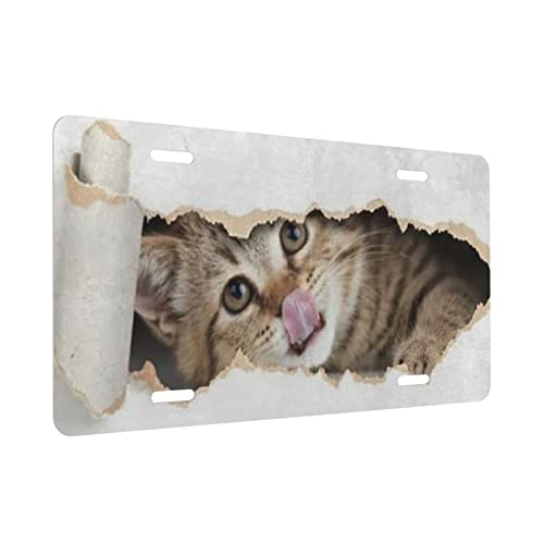 License Plate Decor Novelty Auto Car Tag Garage Decor Home Decor Happy Dolphins Funny Cat Looking Through Hole 6X12In #TOP1