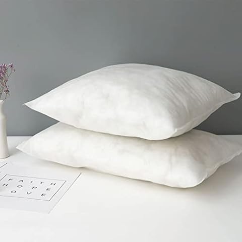 Lot de 2 Coussins YAOTT 35x55cm Cover