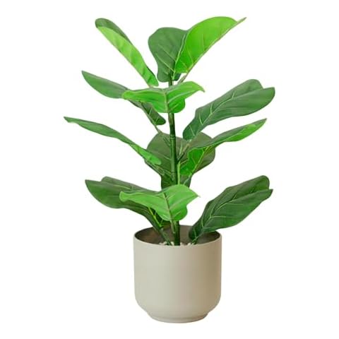 365 Blooming Decor 16 inch Faux Fiddle Leaf Fig in Minimalistic Pot with River Stone, Luxury Realistic Potted Fake Ficus Lyrata for Living Room Home Office and Kitchen Table Decor Cover