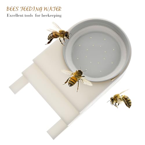 Distributeurs d'eau à petit orifice pour apiculture et élevage d'abeilles