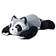 Raccoon