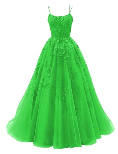 Tulle Prom Dresses Long Ball Gown Lace Appliques A-Line Formal Evening Dress