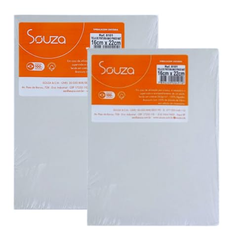 KIT - 2 TELAS DE PINTURAS 16 X 22