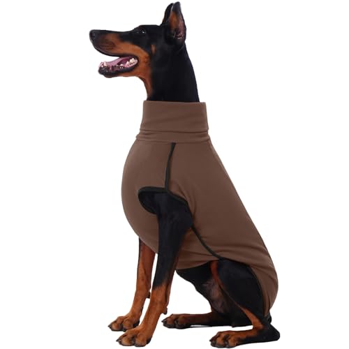 ROZKITCH t[XpXEFbgVcA^pybghgnWPbgxXg Sn̗ǂWvX[c Ap  EH[LO nCLO s p uE 2XL