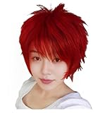 Anime Short Curly Fluffy Layered Multifunction Cosplay Heat Resistant Fiber Synthetic Halloween Wig For Men (Red)