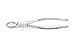 Extracting Forceps Dental Dentistry Instruments 88R