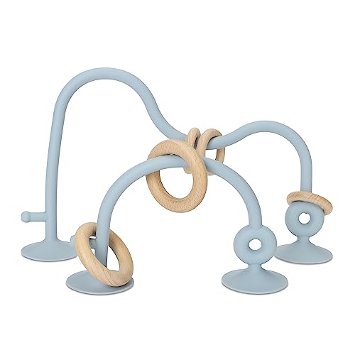 Image of Socub Silicone Baby Sensory Toys, Montessori Educational Toys for Baby 6 12 18 Months, Parent-Child Toys with Suction Cup, 2 Pack(Dusty Blue), Medium