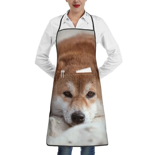 [Chioee] hGv QĂČ Ck  킢  fB[X | |Pbgt lC ۈm lGv h~ VɂȂɂ ƒAƁAAo[xL[AOɍœK APN210ES