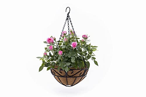 6 Pack 12 Inch Round Coco Liner For Planter, Hanging Basket, Coco Coir Liner Replacement #TOP1