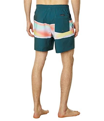 Quiksilver Men's Standard Surfsilk Air-Brush 17 Volley Swim Trunk Boardshort2