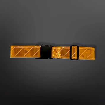 Reflective Web Belt Gold