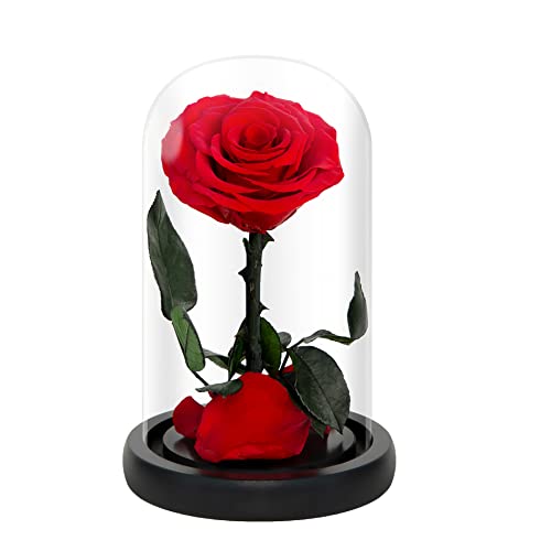 NATROSES Christmas Birthday Gifts for Women Handmade Preserved Roses in Glass Dome Black Roses Roses Preserved Flowers Gifts for Mom Mothers Day Flowers product thumbnail 9