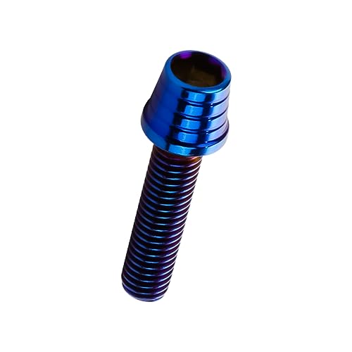 �L���b�v�{���g M5×20mm �e�[�p�[�V�F���w�b�h �X�e�����X�� �`�^���J���[ �J�X�^���{���g 4�{�Z�b�g