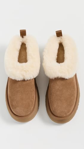 Buy UGG Women's Tazzelle, Mustard Seed, 5 at Amazon.in