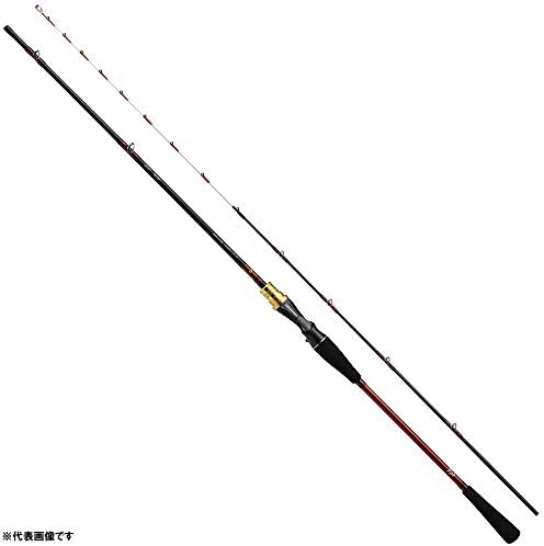 Amazon | ダイワ(DAIWA) アナリスター73 30-180・Q | ダイワ(DAIWA) | 船竿
