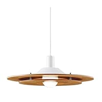 Amazon.co.jp: パナソニック(Panasonic) 大型ペンダントライト