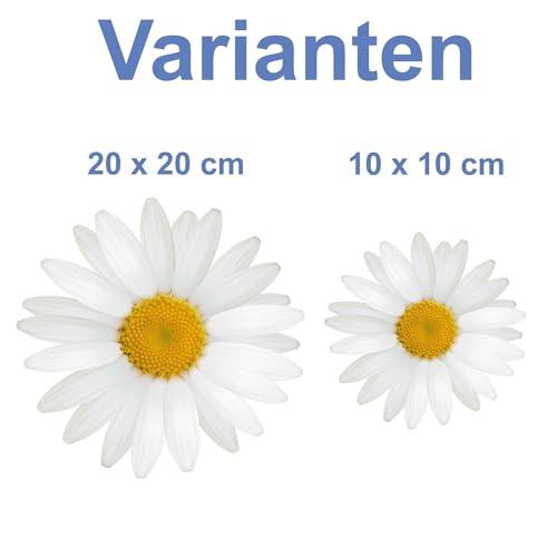 kleberio Selbstklebender Aufkleber Sticker Autoaufkleber wetterfest Blumen Mülltonne Blumenwiese Dekoration Fensterbild Fliesenaufkleber 10 x 10 cm - Weiße Gänseblume -