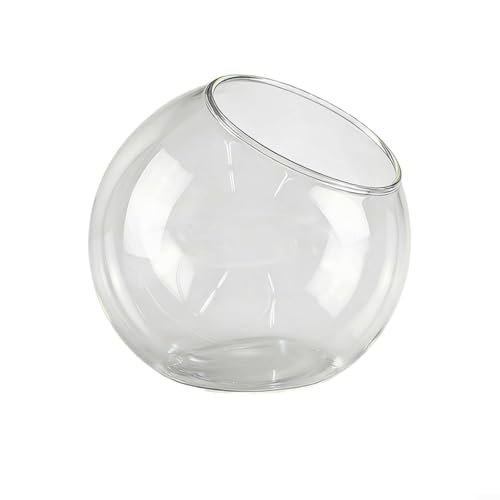 BlesConi Vase terrarium élégant à ouverture ouverte – Doublure en verre borosilicate transparent pour plantes grasses d'intérieur (13,5 cm)