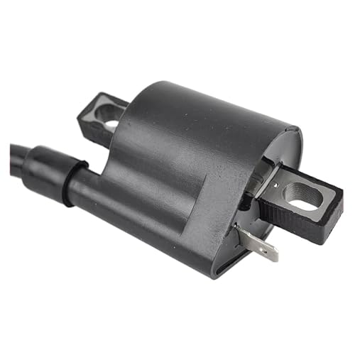 Bobina de encendido para solucionar fallos de arranque en tu Suzuki QuadRunner 33410-02C01 6