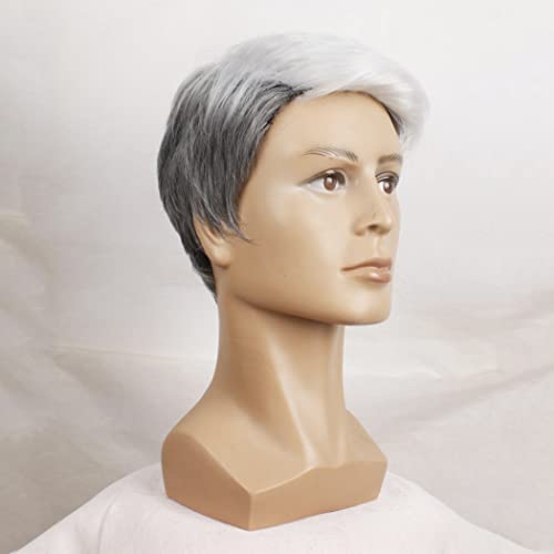 AIYLMZ Short White Ombre Grey Wigs for Older Men Blanche Hair Toupee for Men Natural Side Part Synthetic Wigs Men's Hairpieces Seniors Mixed White Grey Wigs (Grey White) - Image 4