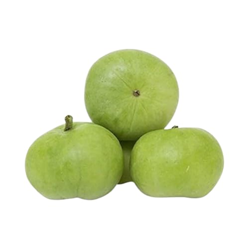 SEMER Tinda (apple Gourd) Pack Of 30 Vegetable Seeds for Home Garden, Organic & Hybrid, Perfect for Home Gardening, Kitchen Planting For Pots and patio. (B0DDXBH8GX) Amazon Price History, Amazon Price Tracker