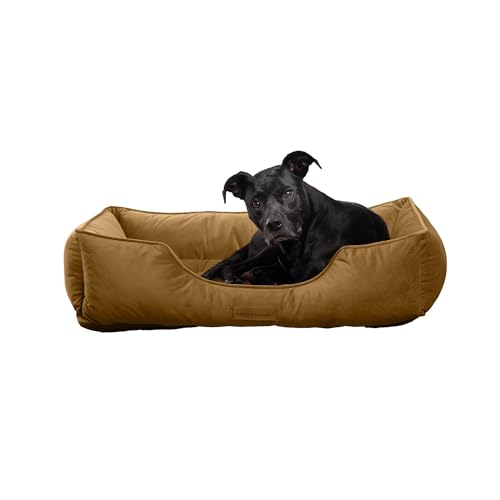 Modern Threads Luxury Dog Bed - ^^p̉KȖ[̃xxbgNbV - @􂢉\ - ybĝ߂̏vł킢Xy[X - Sn̗ǂxbhŃybgÂ₩ - L