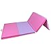Polar Aurora 4'x6'x2 Lightweight Gymnastics Folding Mat Fitness Aerobics Exercise Yoga Tumbling Mat with Carrying Handles Colors (Pink & Purple)