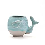 Indoor & Outdoor Small Succulent Plant Pot - Unique Whale-Inspired LONGQUAN Celadon Ceramic Planter - Handcrafted Flower Pot with Drainage Hole - 4.3' x 4.7' for Home & Garden Decor