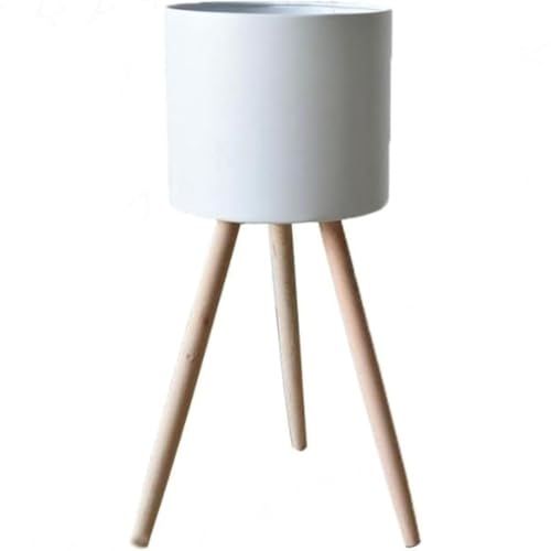 Fiozwea rOS׍HtBIYEBAƒpbNuԒIe~ (H:41cm,zCg)