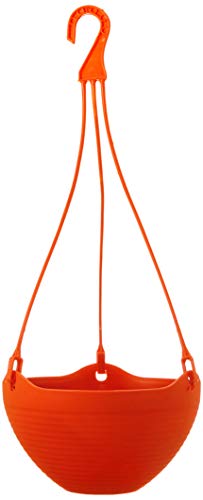 GARDENS NEED 100% Virgin Plastic Bell Pot | Set of 4 Hanging Planter, (20cm x 20cm x 22cm, Red) (B08323KFSQ) Amazon Price History, Amazon Price Tracker