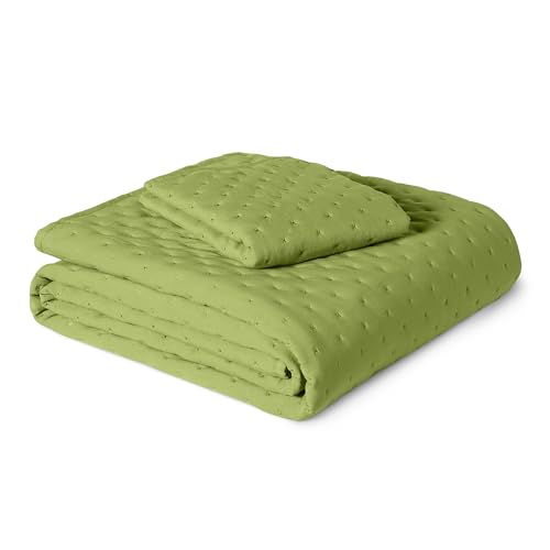 Image of Amazon Basics Brushed Microfiber Quilt Set, Extra Soft with Natural Texture, 2-Piece, Twin /Twin XL, Green