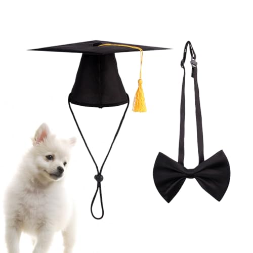Disfraz gorro y pajarita para perro en negro miniatura 3