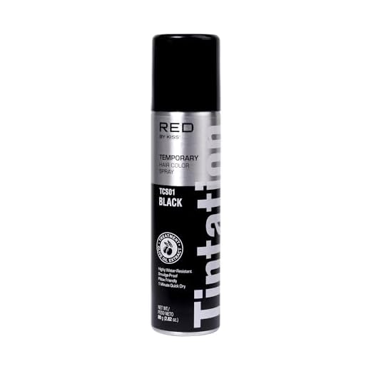 Kiss Root Cover Up Gray Concealer Spray Tintation Temporary Hair Color Spray Root Touch Up Spray Hair Dye 2.82 oz. (Black)