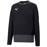 PUMA Jungen, teamGOAL 23 Training Sweat Jr T-shirt, Black-Asphalt, 164