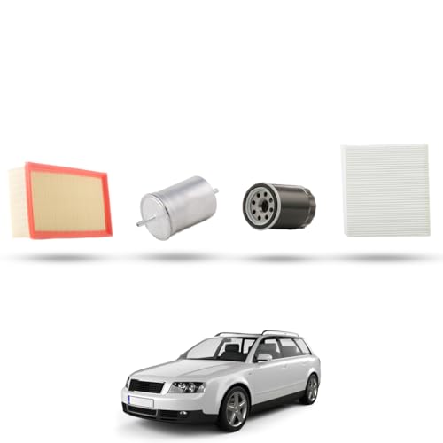 Questo Kit include : 1x Filtro dell'Aria AR2035PM, 1x Filtro dell'Olio OL299,1x Filtro Carburante IN70,1x Filtro Abitacolo CK9645
