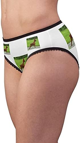 Pinscher Panties, Pinscher Underwear, Briefs, Cotton Briefs, Funny Underwear, Panties For Women