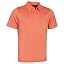 Coral Chic