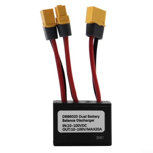Dual Battery Discharger 10 100V 20A Modul zur Leistungsoptimierung