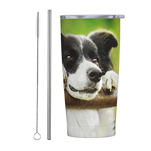 {[_[R[   Xg[&Xg[uVt }OJbv R[q[Jbv 600ML RrjJbv ^u[ XeX ۗ ۉ ԗp Wt ^  e  Aj v[g Q30