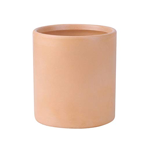 Maceta carnosa de cerámica alta para decoración de oficina y planta grande
