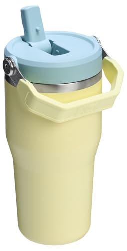 Image of Stanley IceFlow 2.0 Flip Straw Tumbler with Handle 20 oz | Twist On Lid and Flip Up Straw | Leak Resistant Water Bottle | Insulated Stainless Steel | BPA-Free | Pomelo