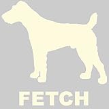 Fetch Records