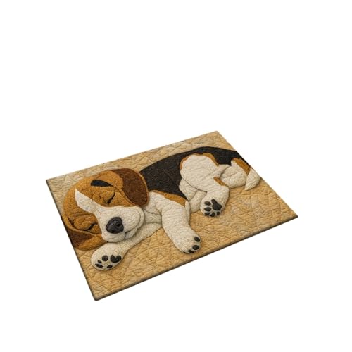 Rimmean Tapete Divertido for Puerta De Material Esponja Gruesa, Felpudo con Patrón Cachorro Durmiendo for Dormitorio, Cocina, Comedor Y Baño, 1 Ud(40X60CM 1.3X2FT)