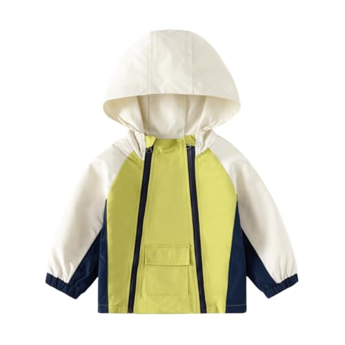 Toddler Baby Boys Long Sleeve Block Color Hoodies Sweatshirt Kids Hooded Sweater Tops Zip-up Jacket with Pocket (Green,90/18-24 M,Unisex,Big Kid,US,Age,18 Months,24 Months)