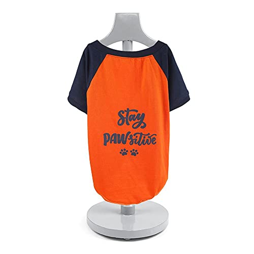 Heads Up For Tails Stay Pawsitive Doggie Tshirt - 2XL (B093ZMHLTK) Amazon Price History, Amazon Price Tracker
